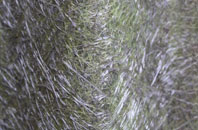 Gillingham fibreglass roof work